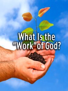What is the Work of God? Is an explanation of what is the work of God, because many ministries have completely lost this concept in its correct sense.